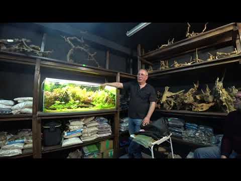 Видео: Лекция Дмитрия Паршина - Про водоросли и не только. Часть 2