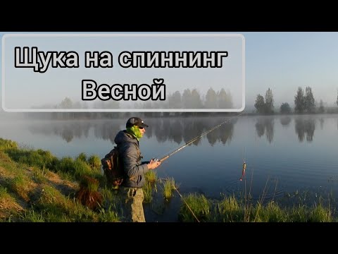 Видео: Поиск щуки весной с берега. Смена погоды