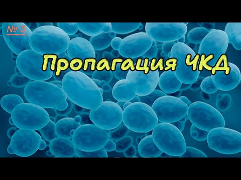 Видео: 5. Пропагация ЧКД