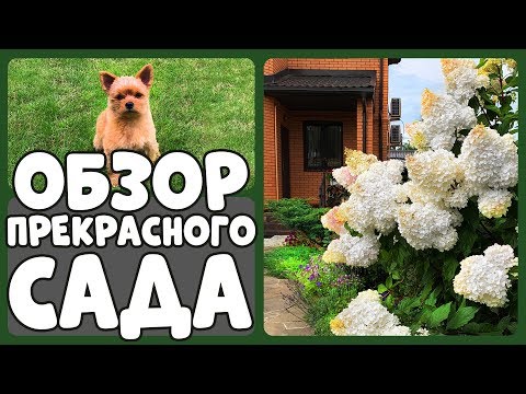 Видео: НА ЭТО СТОИТ ВЗГЛЯНУТЬ! Райский сад Людмилы Кудасовой 🌸