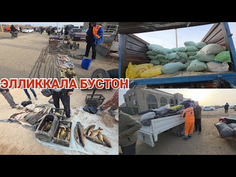 Видео: БАЛИК КОВУН ВА ЕМ ХАШАК НАРХЛАРИ ЭЛЛИККАЛА БУСТОН