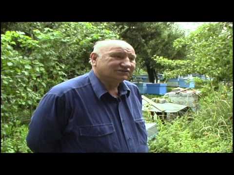 Видео: Село Пожаране