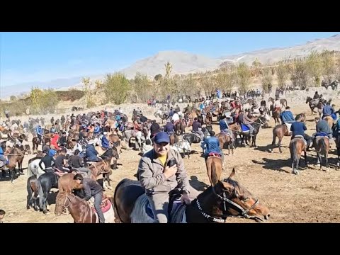 Видео: Шахрисабз Ширамонда Оловиддин ака купкариси.