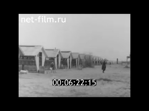 Видео: 1965г. зверосовхоз Лаганский. Калмыкия