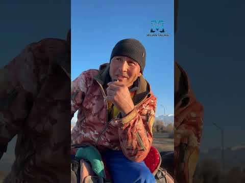 Видео: Таластагы Жаштар чемпионаты тууралуу...