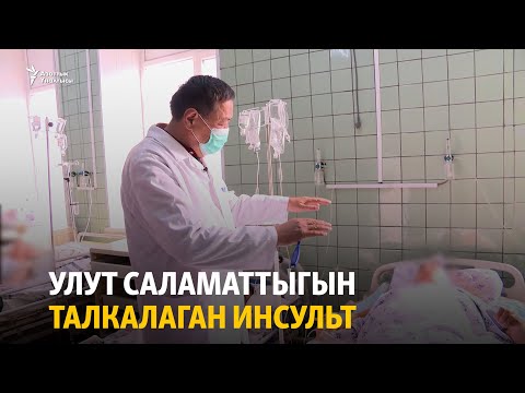 Видео: Улут саламаттыгын талкалаган инсульт