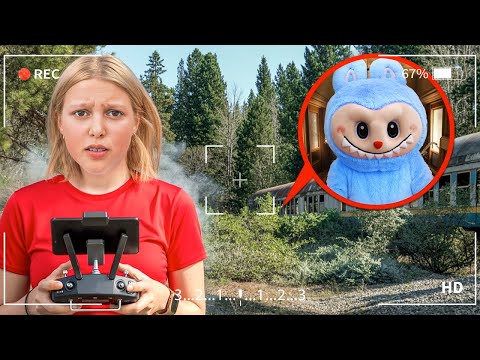Видео: Мой Дрон нашел Labubu.exe в реальной жизни!