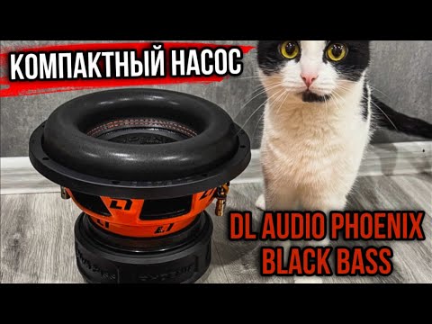 Видео: Прокачал АВТОЗВУК в РЕНО! DL AUDIO Phoenix Black Bass 10.