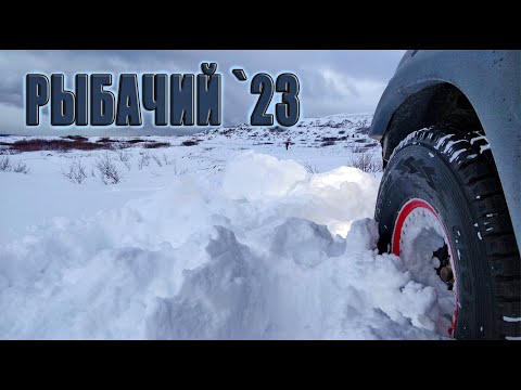 Видео: Полярный экспресс 2023. Полуостров Рыбачий.