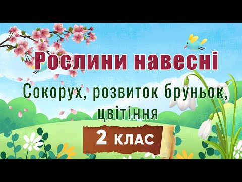 Видео: 🌿Рослини навесні - 2 клас - Я досліджую світ. Природознаство