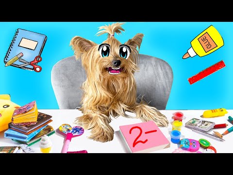 Видео: КОРОЧЕ ГОВОРЯ, ЗЛОЙ ПЁС ВЕРНУЛСЯ В ШКОЛУ НА 1 ДЕНЬ !