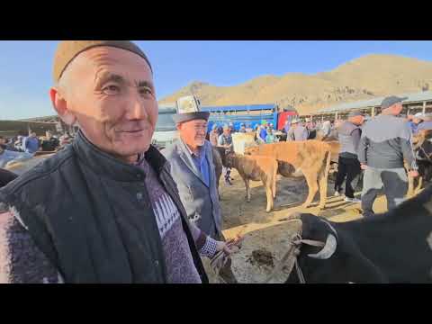 Видео: АЛА БУКА СОЛОМО БАЗАРЫ ЖЫЛКЫ БААЛАРЫ