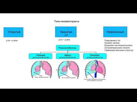 Видео: Урок №5