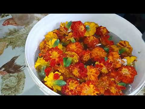 Видео: Шампанське з чорнобривців  / Як ми повелися на тренди TikTok