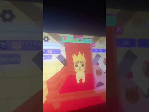 Видео: 10 листопада 2025 р.