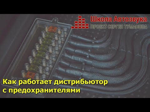 Видео: Как работает дистрибьютор с предохранителями | Школа Автозвука