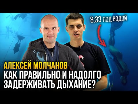 Видео: Как надолго задерживать дыхание? Главные правила и 3 упражнения - рекордсмен Алексей Молчанов