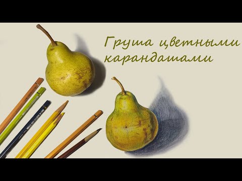Видео: Этапы рисования цветными карандашами