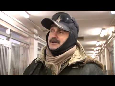 Видео: А.Г.Несяев. Один день из жизни