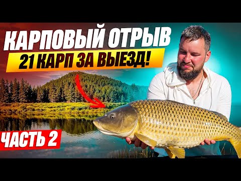 Видео: Лучший Выезд — 21 Карп за Рыбалку  Карпфишинг на Озере 2025 часть 2