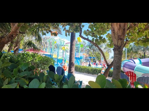 Видео: Дневник круизера.  Глава 1-7. Icon of the seas, день 7