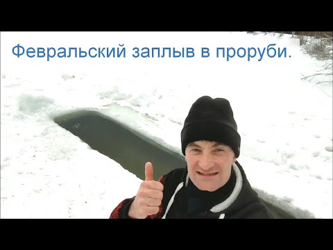 Видео: Февральский заплыв в проруби.
