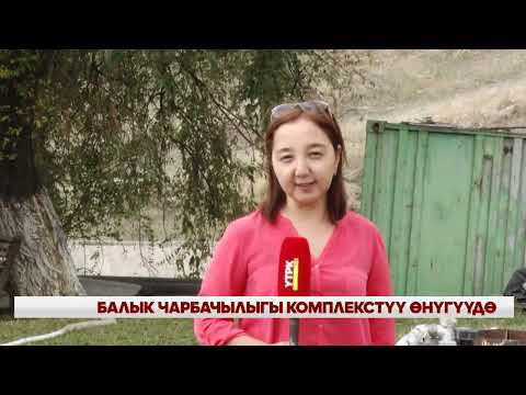 Видео: БАЛЫК ЧАРБАЧЫЛЫГЫ КОМПЛЕКСТҮҮ ӨНҮГҮҮДӨ