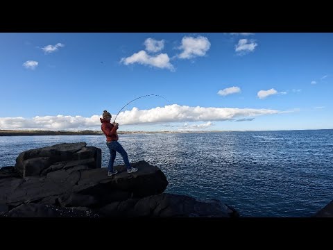 Видео: Снова среди РЫБЫ! | Замок Данстанбург | Нортумберленд | Зимняя рыбалка на приманку