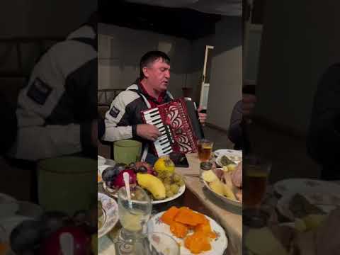 Видео: Даргинская Душевная Живая Песня на Хинкале Ибрагим Шамаев 2024