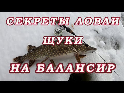 Видео: СЕКРЕТЫ ЛОВЛИ ЩУКИ на БАЛАНСИР!  Тактика ловли на балансир щуки!  Выбор балансира для щуки!