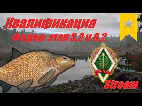 Видео: Русская Рыбалка 4 - Квалификация фидер 3.2 и 6.2. Потом рыбалка для души.