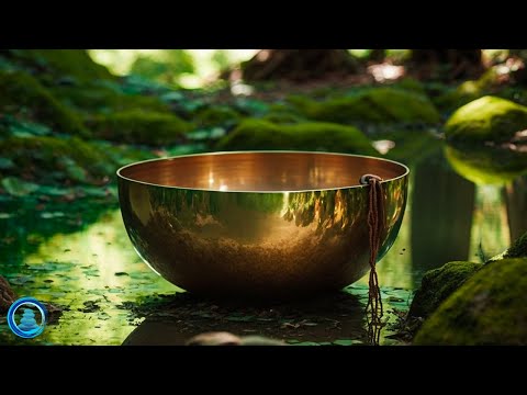 Видео: Избавьтесь от всей плохой энергии | Тибетские исцеляющие звуки | Очищает ауру и пространство