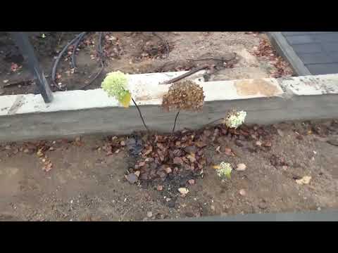 Видео: Завершение объекта по тротуарной плитке в колодищах (полигон)... 350 квадратов... 