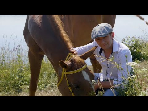 Видео: Петлюра и гр. Пацаны Лошади в океане (официальный клип)