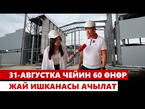 Видео: 31-августка чейин 60 өнөр жай ишканасы ачылат