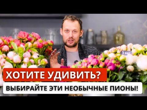 Видео: 🌺КАКИЕ ПИОНЫ ВЫБРАТЬ? Разбор сортов пионов: стойкость, аромат, цвет, пионы хамелеоны.