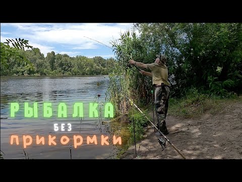 Видео: КАК ловить ЛЕЩЕЙ карасей БЕЗ ПРИКОРМКИ  - летняя рыбалка