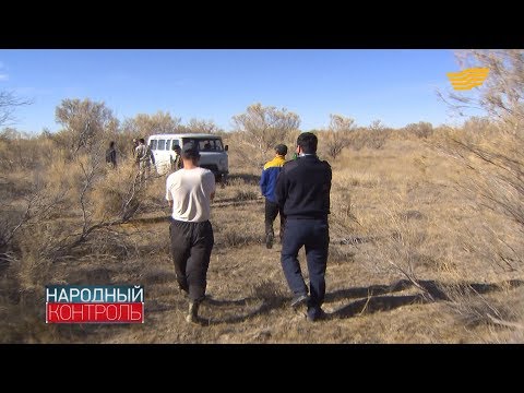 Видео: В Жамбылской области участились случаи браконьерства