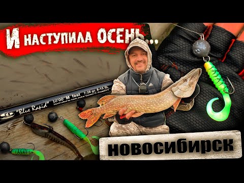 Видео: "КАК Я УГОВАРИВАЛ КЛЕВАТЬ ВРЕДНУЮ, ОСЕННЮЮ ЩУКУ... РЫБАЛКА НА ДЖИГ В НОВОСИБИРСКЕ".