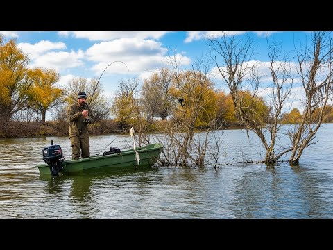 Видео: ТУТ ВСЯ ЯМА ЗАКОРЯЖЕННАЯ И РЫБЫ ТЬМА! ЛОВЛЮ В ОТВЕС КАК СО ЛЬДА. По три штуки! ЭТО ПРОСТО КАЙФ!