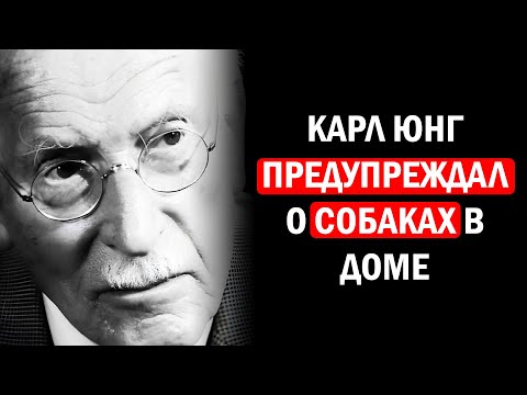 Видео: Карл Юнг ПРЕДУПРЕЖДАЛ о СОБАКАХ в доме – то, что он сказал, вас шокирует!