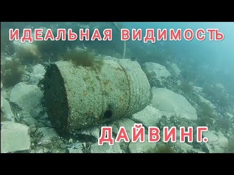 Видео: Богатства японского моря. Дайвинг Владивосток. Дайвинг в Приморье.