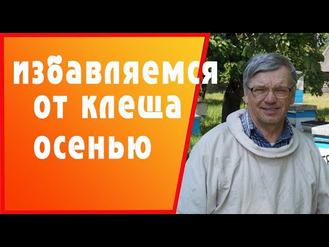 Видео: Почему осенью нужно обязательно обработать пчёл от клеща