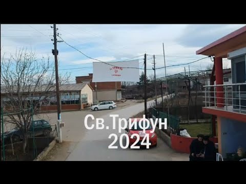Видео: СВЕТИ ТРИФУН КУЧИЧИНО 2024