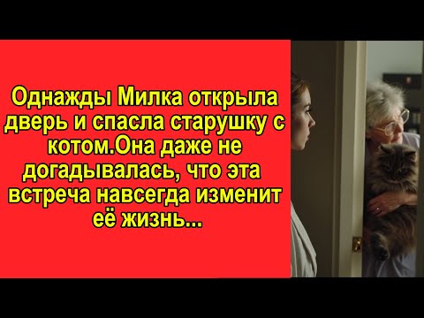 Видео: Не по крови, но по любви.
