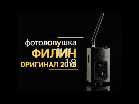 Видео: Instagram Филин 120 оригинал 2018 -1