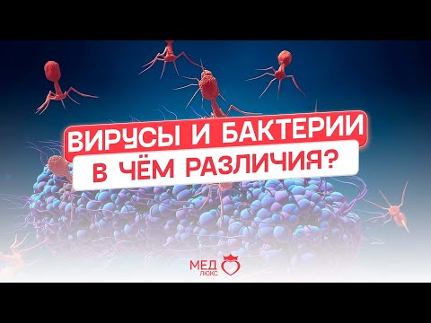 Видео: Вирусы и бактерии | В чём же разница?