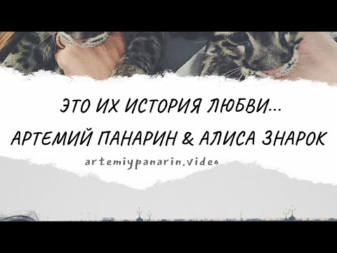 Видео: ИСТОРИЯ АРТЕМИЯ ПАНАРИНА И АЛИСЫ ЗНАРОК ❤️