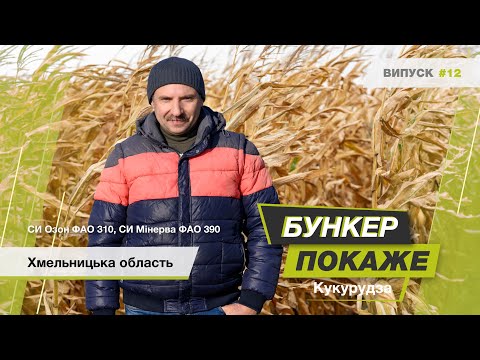 Видео: #БункерПокаже випуск № 12. ТОВ «Агрокрай».  Збирання врожаю СИ Озон ФАО 310, СИ Мінерва ФАО 390