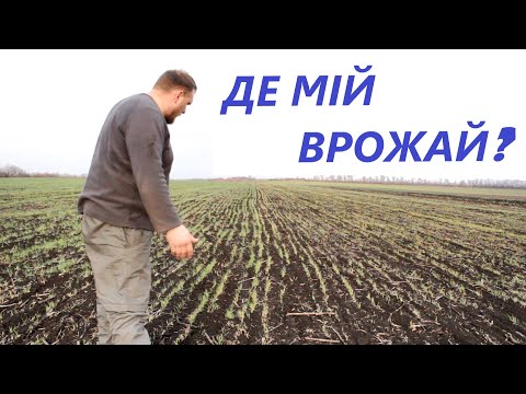 Видео: Чому не купляю новий трактор. Частина друга. Битва за врожайність.